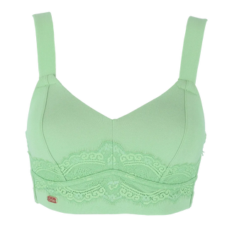Careless Amanda Basic Bra Big Cup - Forest Shade