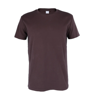 Careless Robin regular t-skjorte - Brun