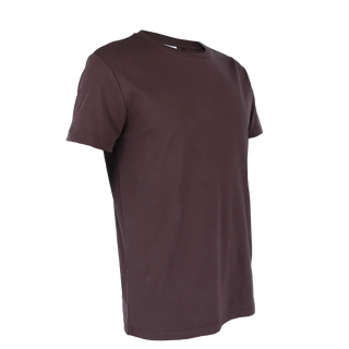 Careless Robin regular t-skjorte - Brun