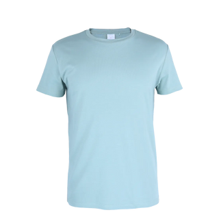 Careless Robin regular t-skjorte - Mint